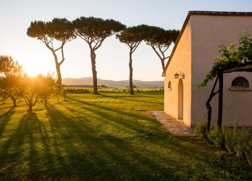 Guado al Tasso, winemaker from Tuscany